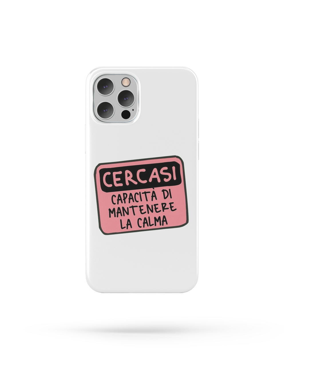 Cover Cercasi - Lab07Official -