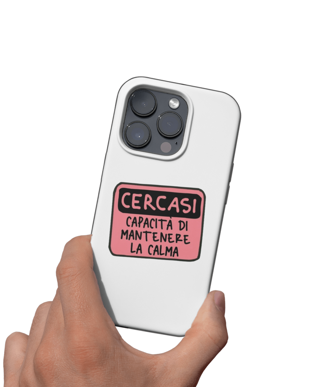 Cover Cercasi - Lab07Official -